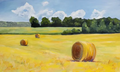 Golden Hay Field