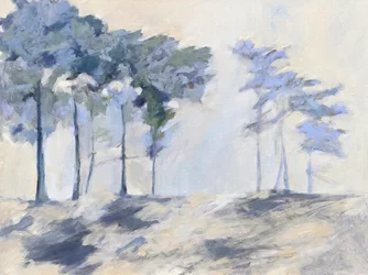 Misty Forest Trees