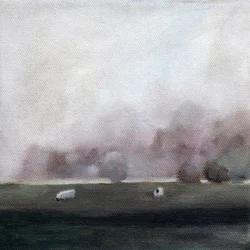 Sheep in a Quiet Field