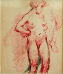Standing Female Nude