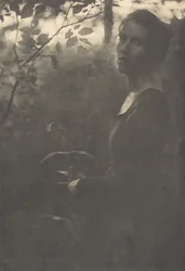 Edge of the Woods, Evening, 1900