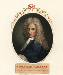 Portrait of Sebastian Vaillant, French Botanist