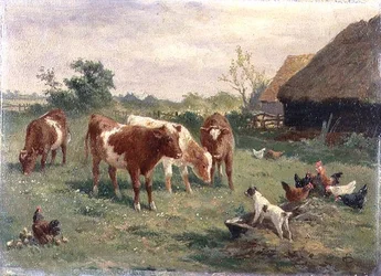 Dog in the Manger
