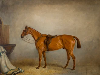 The Horse Planet in a stable