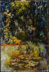 Corner of a Pond with Waterlilies