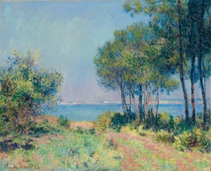 Fir Trees at Varengeville