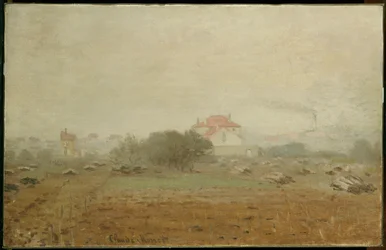 Fog