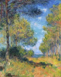 Avenue of Firs in Varengeville