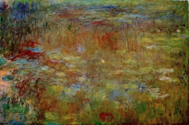 The Water-Lily Pond