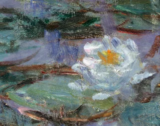 Blue Water Lilies. Detail of a water lily.
