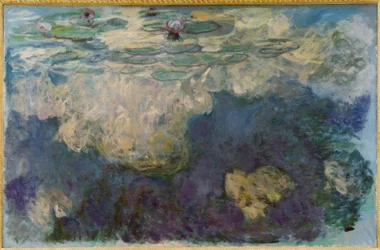 Water Lilies