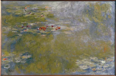 Water Lilies