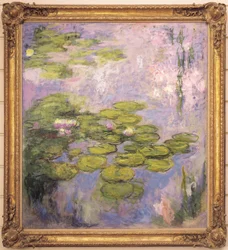 Water Lilies