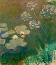 Water Lilies and Agapanthus