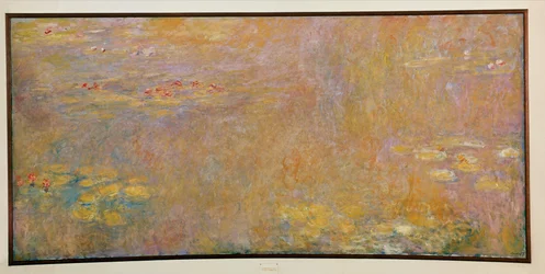 Water Lilies
