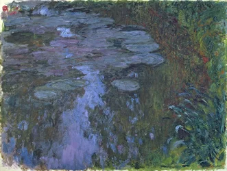 Water Lilies