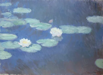 Nympheas, c.1916-19