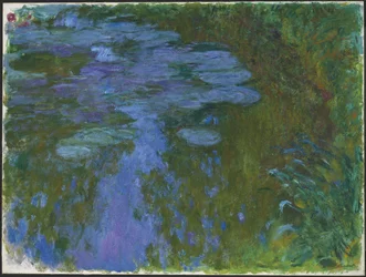 Nympheas