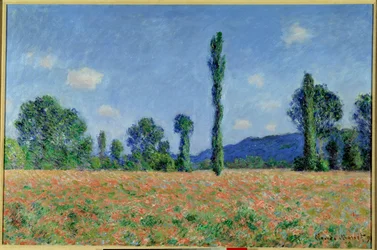 Poppy Field