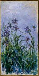 Purple Irises, 1914-17