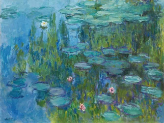 Water Lilies
