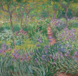 The Artist