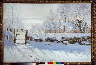 The Magpie