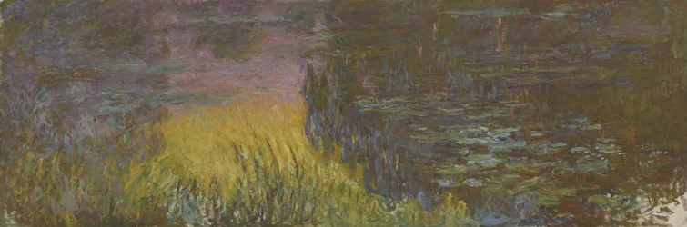 The Water Lilies - Setting Sun