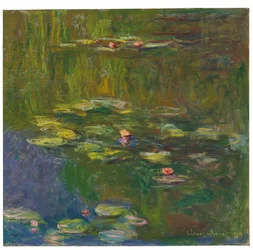 The Water Lily Pond