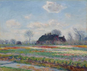 Tulip Fields in Sassenheim. 1886
