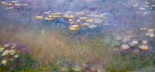 Water Lilies (Agapanthus) (c.1915-26)