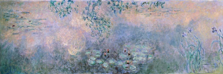 Water Lilies
