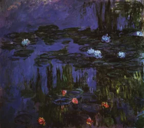 Water Lilies