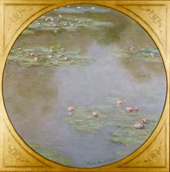 Water Lilies