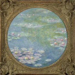 Water Lilies