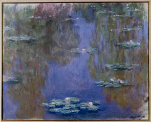 Waterlilies