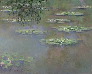 Waterlilies, 1903