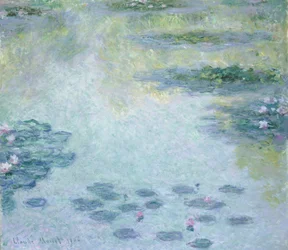 Waterlilies, 1906