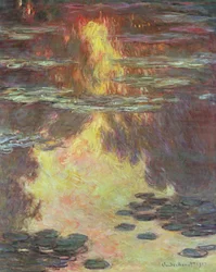 Waterlilies