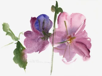 Hollyhocks