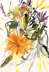 Marigold and Other Flowers