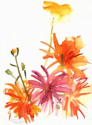 Marigolds and Other Flowers