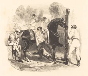 Horse before the Race