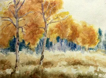 Autumn Aspens in the Tetons, 2011