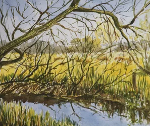 Water Meadows, Kintbury, Early May Afternoon