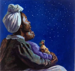 Under the Midnight Blues