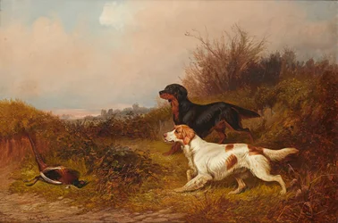 Retrievers at Work