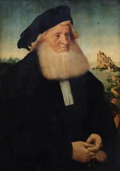 Portrait of a Bearded Gentleman