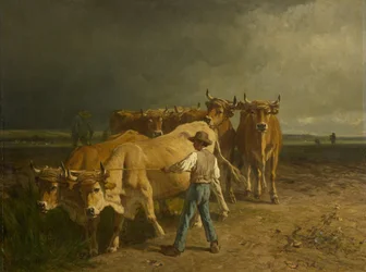 Oxen Plowing