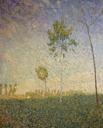 Spring Landscape